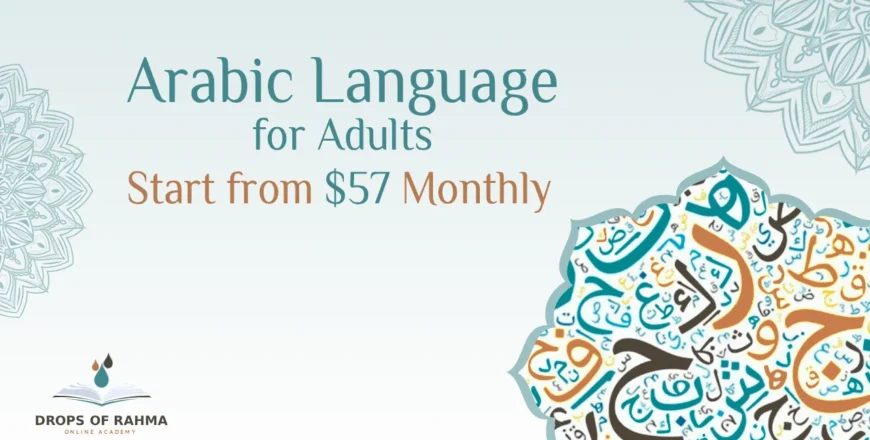 arabic Adults.webp